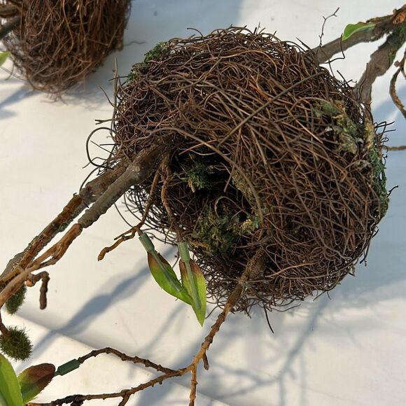 2 Large Bird Best Sprays - Picture 2 of 4